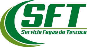 Servicios SFT
